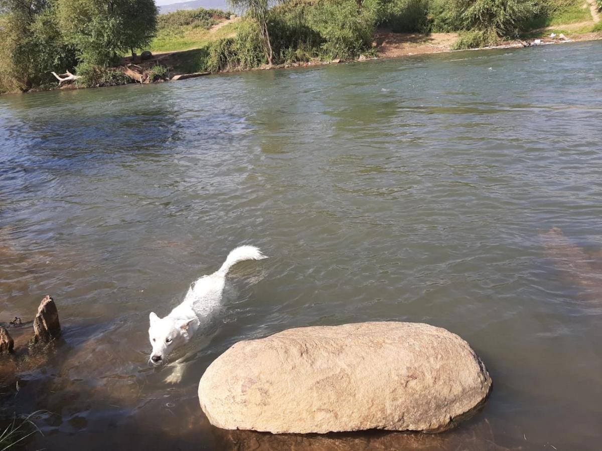 Naftali Albilia Kiryat Shmona Esterno foto