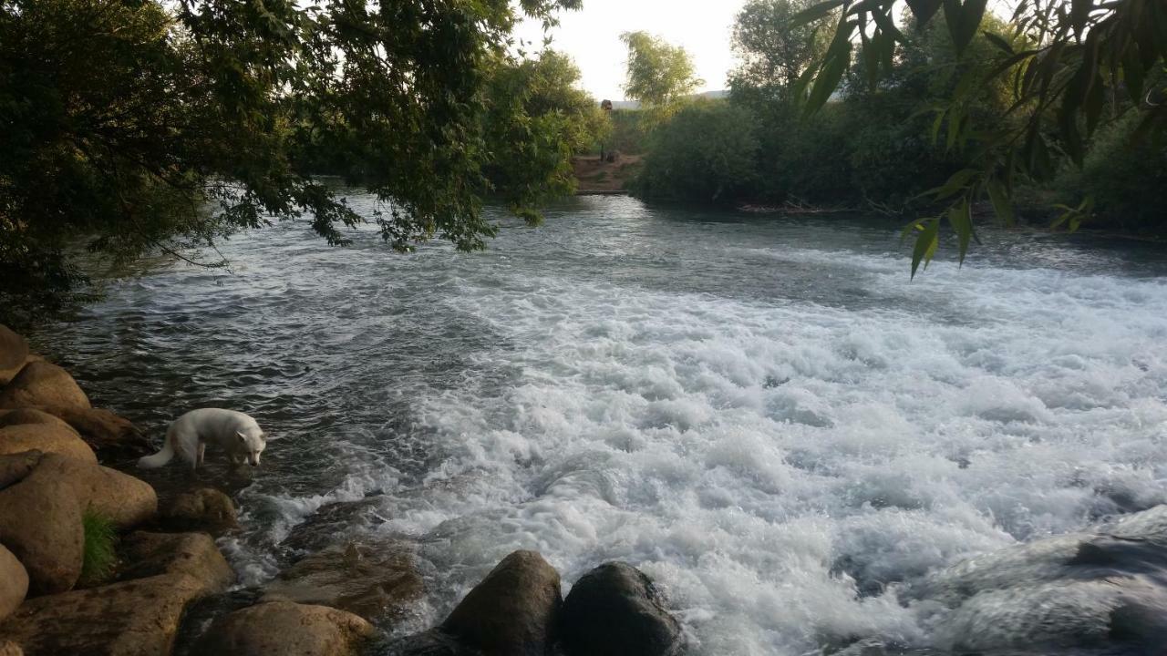 Naftali Albilia Kiryat Shmona Esterno foto